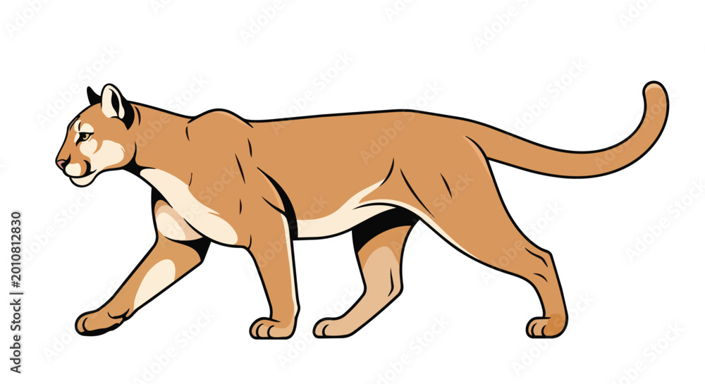 Fototapeta premium Puma Mountain Lion Illustration Walking Side View, Wild Cougar Predator in Motion