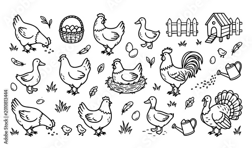 Konstfotografi Hand drawn poultry farm doodle icon set with chickens ducks turkeys and organic