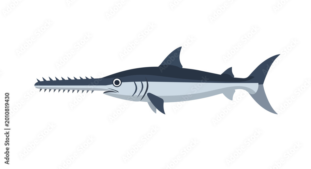 Fototapeta premium Sawfish Marine Life Illustration with Long Toothed Snout Isolated on White Background