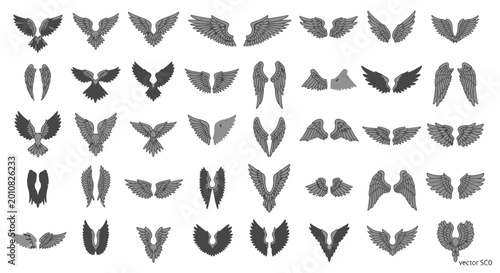 Photos Collection of Angelic Wings Vector Icons Set