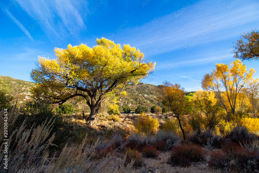 Fototapeta premium California Mountains