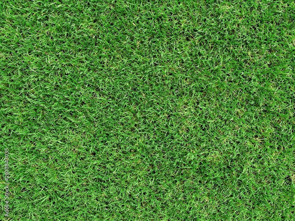 Obraz premium Generative AI, Natural Green Grass Texture Background Overhead Lawn Closeup
