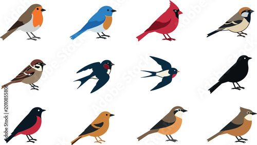 Εκτύπωση καμβά Bird icon set with sparrow robin swallow cardinal finch wildlife collection in c