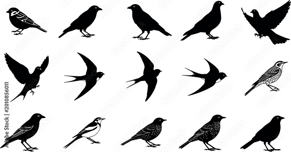 Fototapeta premium Bird silhouette icon set with sparrow crow swallow pigeon flying wildlife shapes in bold black minimal style for design use