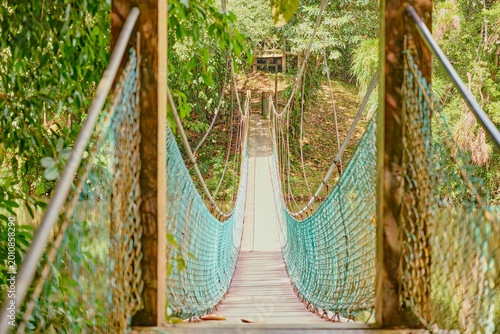 Sepilok, Sabah, Malaysia - Jan 2025: Forest canopy Sky Walk at the Rainforest Discovery Centre in Sepilok.