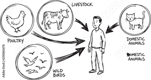 Obraz na plátně Animal interaction diagram showing a human being connected to various types of l