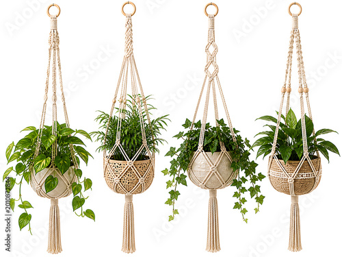 Four decorative macrame plant hangers showcase vibrant green potted plants suspended indoors
