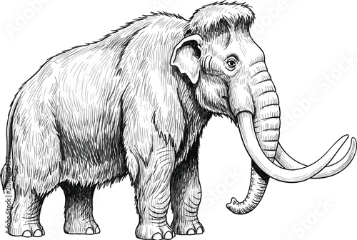 Konstfotografi Mammoth Illustration Vector Featuring Detailed Woolly Fur and Tusks in Vintage H