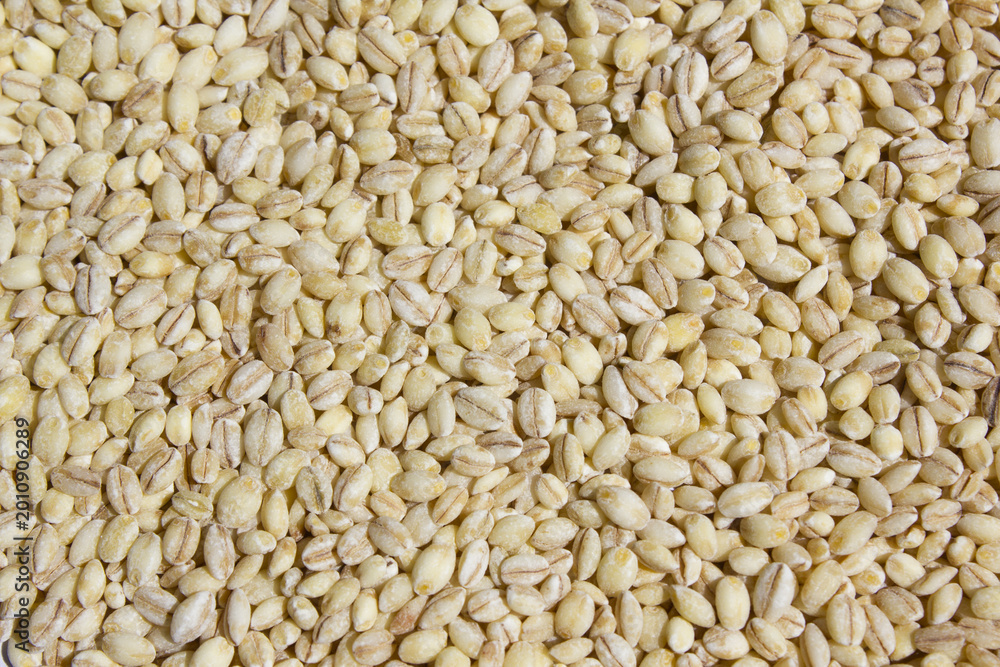 Fototapeta premium It is barley placed close-up