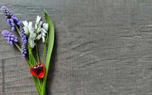 Spring flowers with red heart on gray stone textured background, romantic minimal design with copy space
