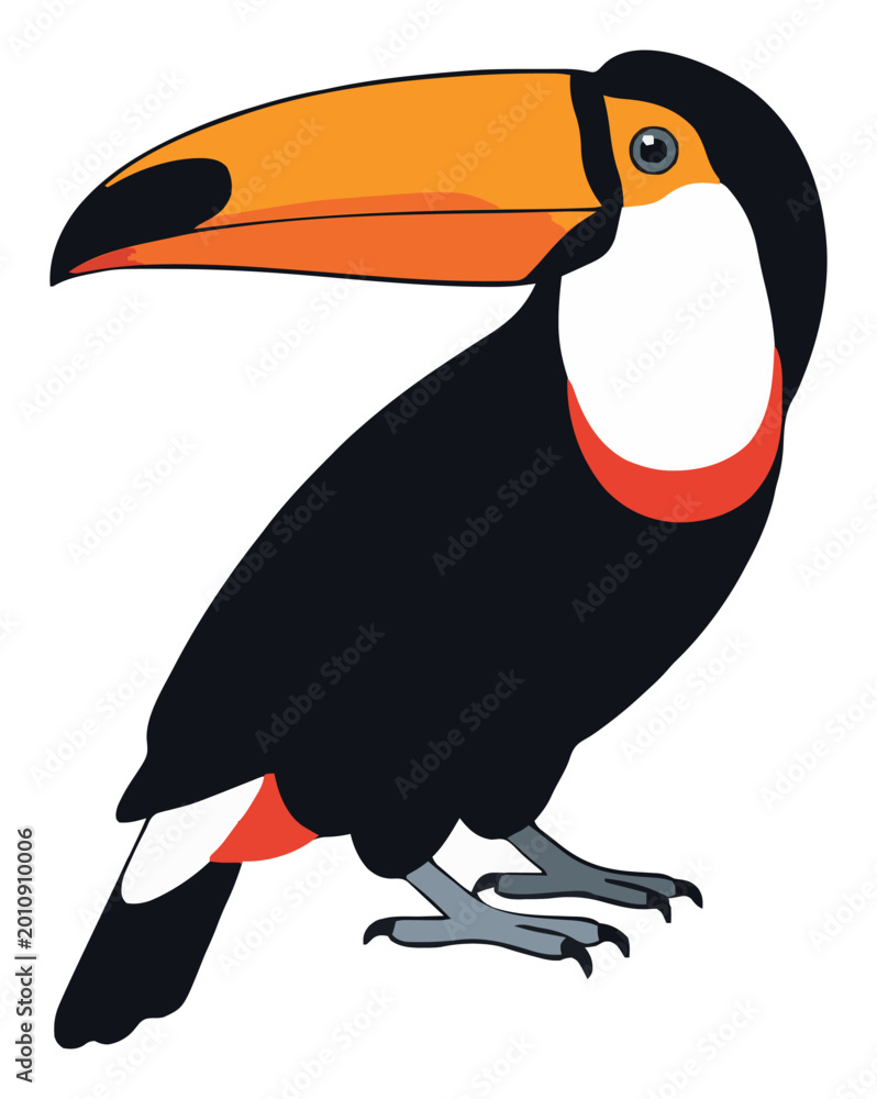 Fototapeta premium Toco toucan bird perspective flat vector illustration. Generative AI