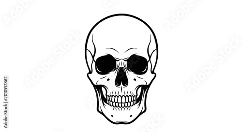Foto Front view of a stylized human skull in black and white outline.