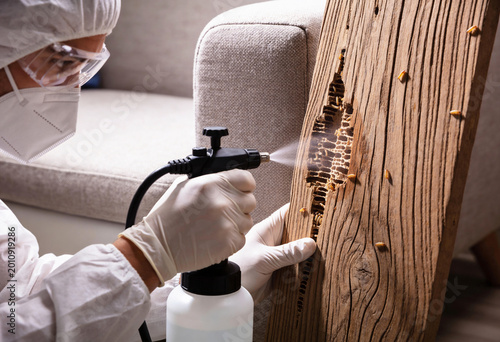 A pest control specialist sprays insecticide on a termite-infested wooden plank, wearing full protective gear.