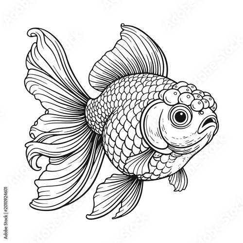 Detailed black and white illustration of a fancy goldfish with flowing fins and a unique head bubble, ornamental fish against a white background for tattoo design or coloring book