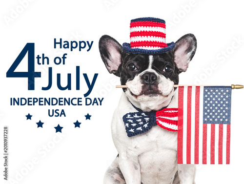 Happy Independence Day. American Flag and cute French Bulldog
