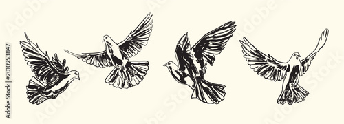 Foto Vintage Dove Set Illustration Flying Birds Antique Peace Symbol Collection