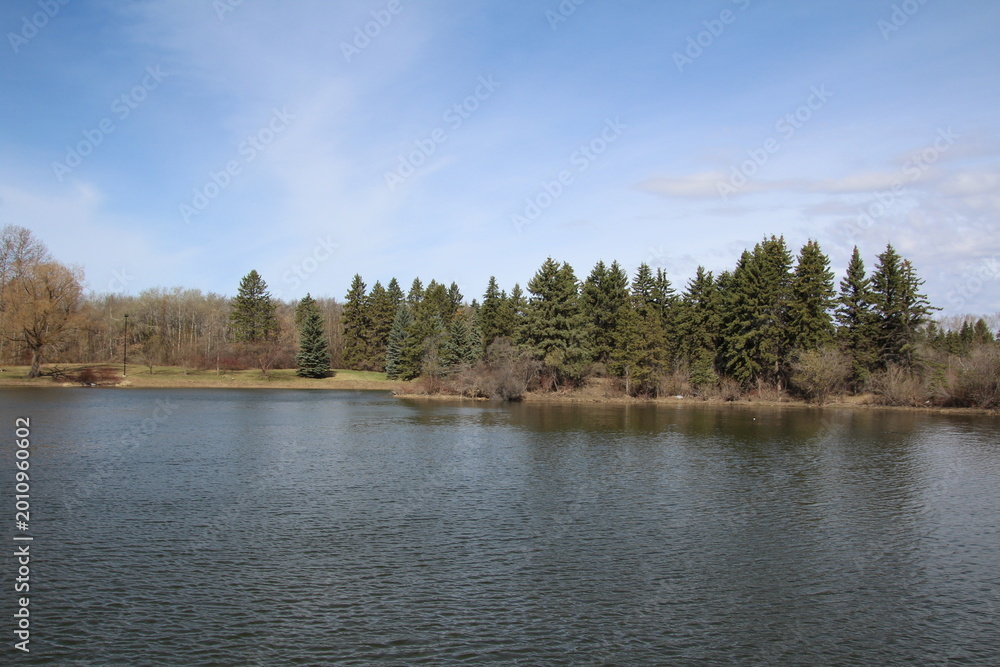 Obraz premium lake and forest, William Hawrelak Park, Edmonton, Alberta
