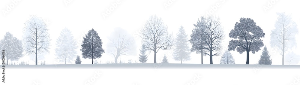 Fototapeta premium Vector illustration of trees with detailed pencil sketch style showing leaves and bark texture.