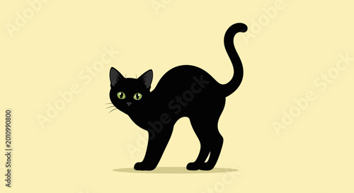 Bild auf Leinwand Black cat standing in profile view.