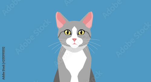 Photos Cartoon grey and white domestic cat.