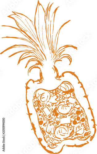 Hand Drawn Pineapple Fried Rice Illustration - Thai Kao Pad Sapparod Vector Line Art