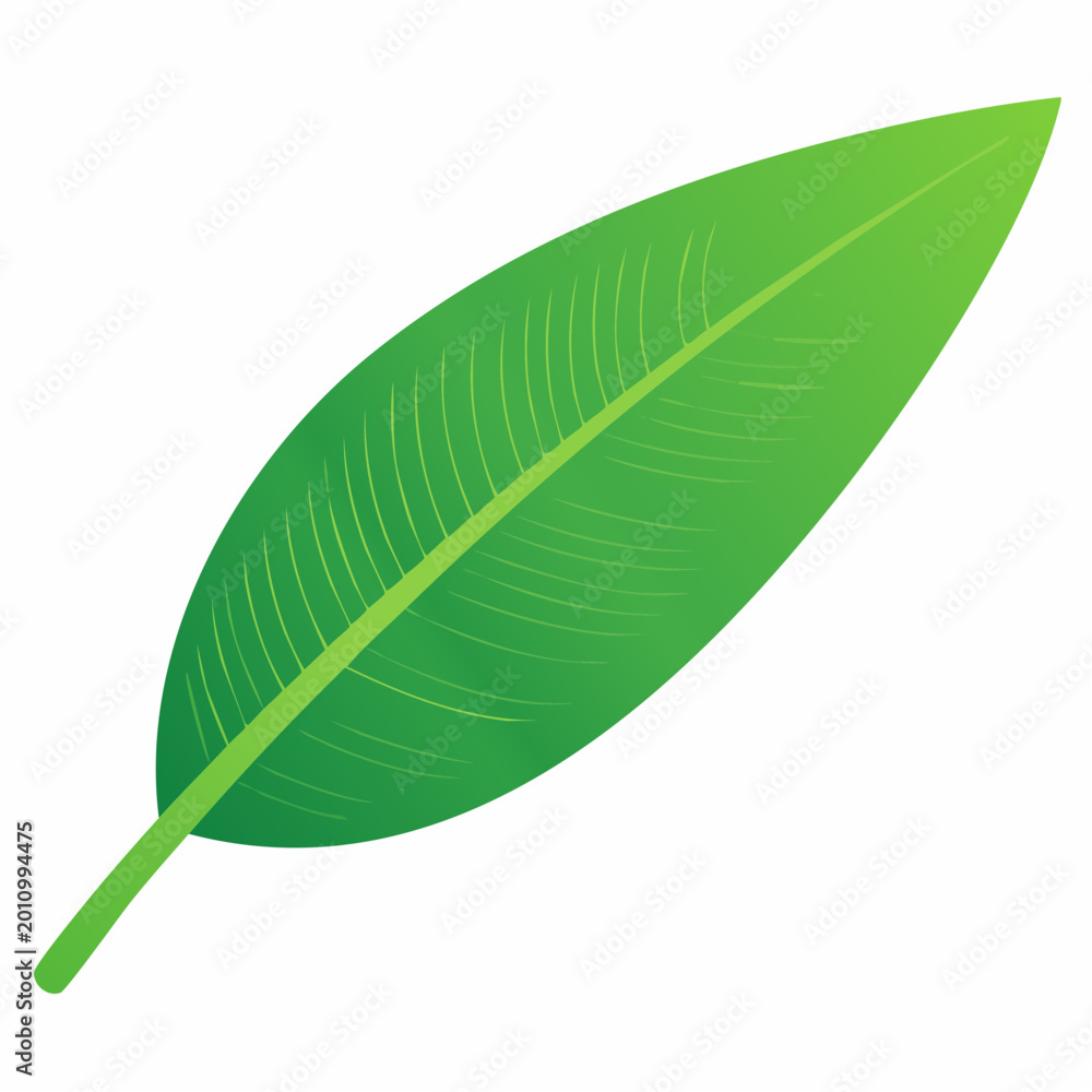 Obraz premium Green Leaf Illustration