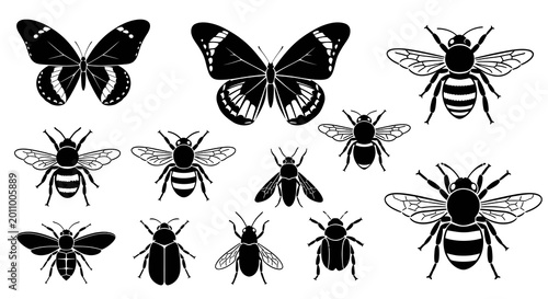 Butterfly Bee and Beetle Insect Silhouette Collection