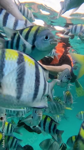 Happy couple in snorkeling mask dive underwater with tropical fishes in coral reef sea in Weh Island Sabang, Indonesia. Show by hands divers sign of love and heart. 