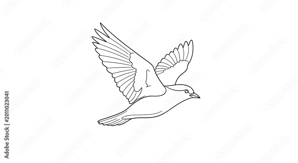 Obraz premium A solitary bird glides through the air with wings fully extended in an elegant display of avian motion, depicted as a sharp black and white outline.