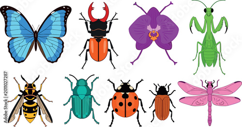 Obraz na plátně Vector Set of Colorful Insects Including Butterfly, Beetle, Dragonfly, and Manti