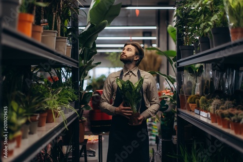 Foto Florist man working in a plant shop