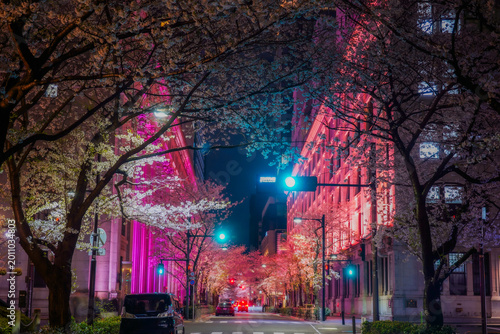 日本橋の夜桜通り