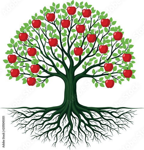 Fotografie Large Green Apple Tree with Ripe Red Fruit and Detailed Root System for Agricult