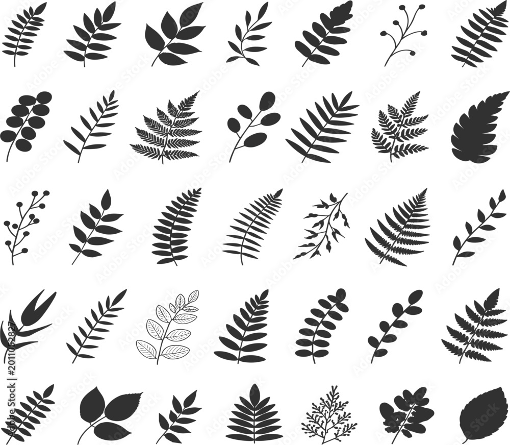 Fototapeta premium Large collection of black leaf silhouettes, various forest foliage icons and botanical floral elements isolated on white background vector