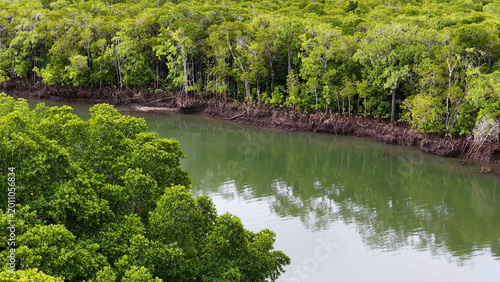 Obraz na plátne Aerial View of Lush Mangrove Forest and River Estuary in Queensland Australia