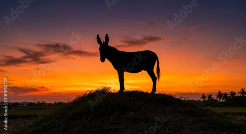 A minimalist, artistic silhouette of a donkey perched on a small hill at dusk. Its unmistakable profile—the long ears, sturdy frame, and tufted tail