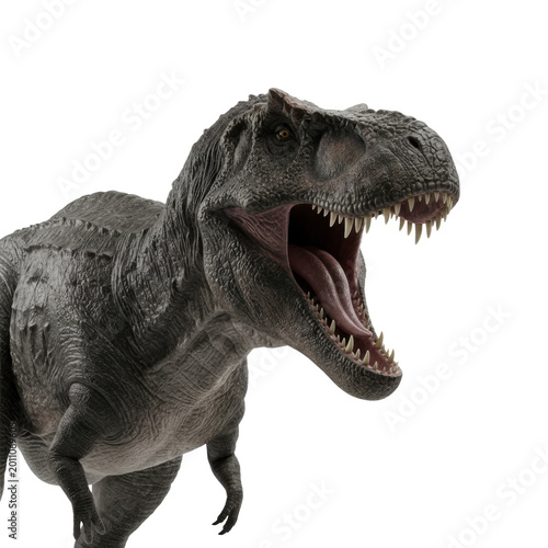 Massive carcharodontosaurus roaring aggressively, close-up studio shot on transparent, hyperdetailed dark reptilian skin and serrated teeth visible. Concept of prehistoric aggression