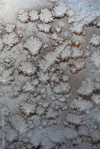 Photos Frost Patterns on Glass Window in Winter Morning
