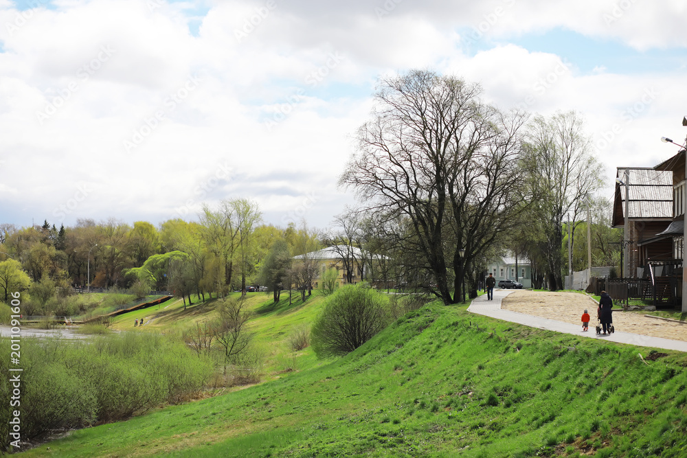 Fototapeta premium Springtime Stroll in Picturesque Park