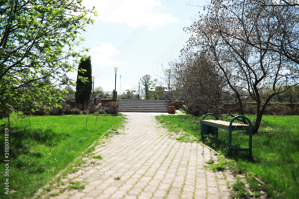 Fototapeta premium Sunny Park Pathway with Greenery and Empty Bench in Spring