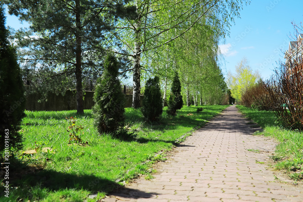 Naklejka premium Lush Park Pathway in Spring with Green Foliage and Blue Sky