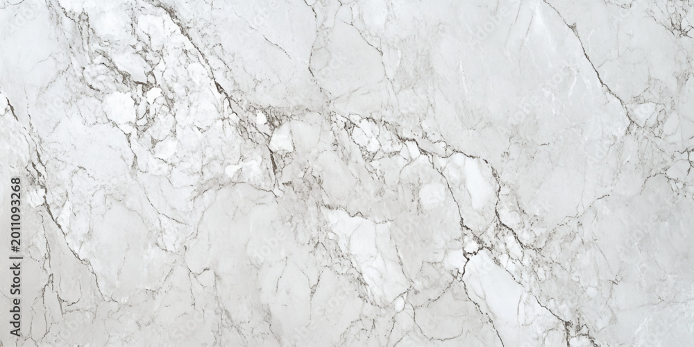 Fototapeta premium White Marble Background with Elegant Organic Lines.