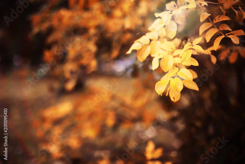Photos Beautiful Nature Autumn landscape