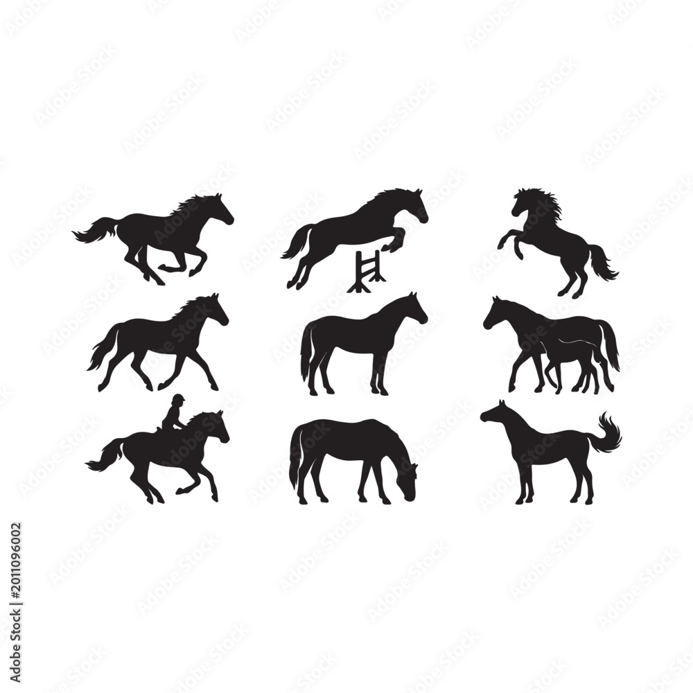 Obraz premium Set of silhouette of horses, on white background. 