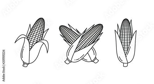 Fotografie Corn cobs line art illustration black and white sketch