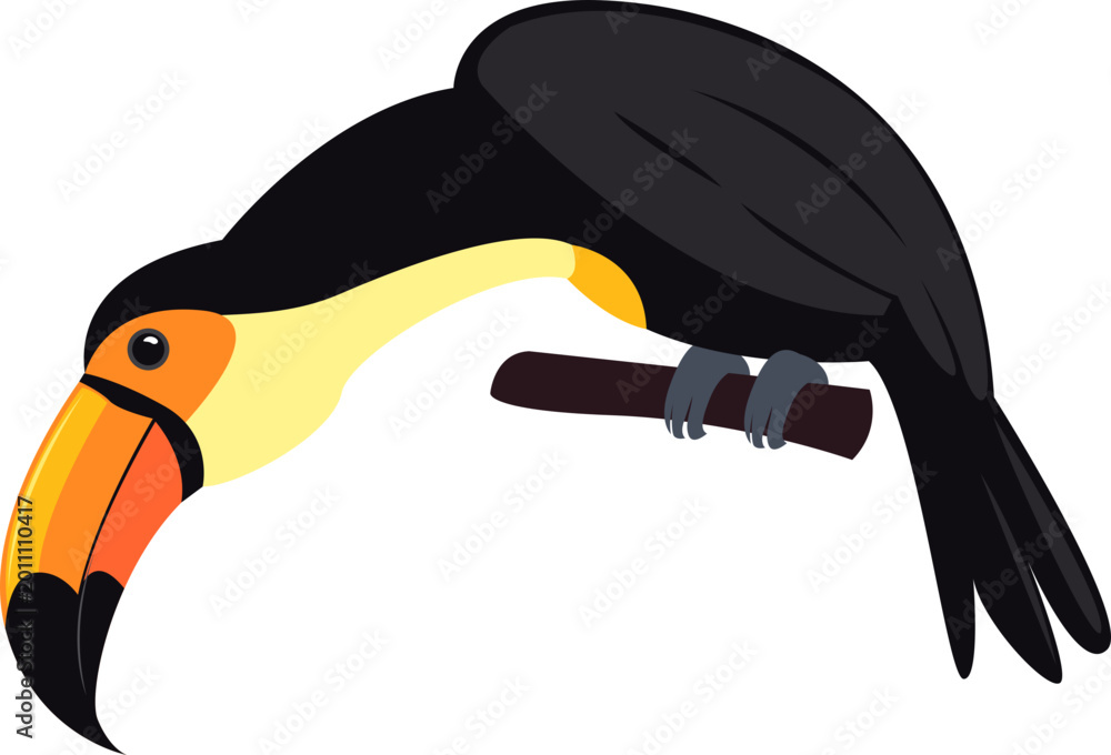 Fototapeta premium Toucan Bird Illustration