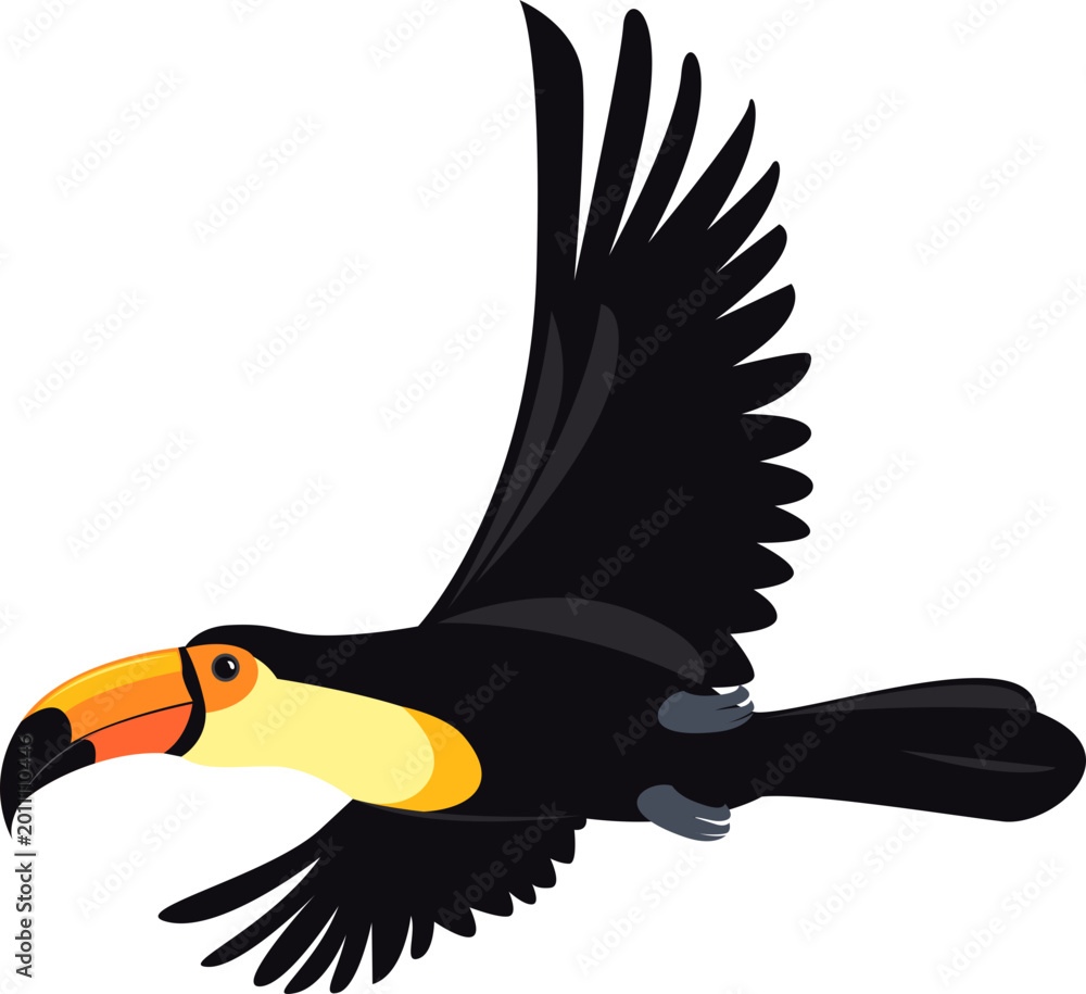 Obraz premium Toucan Bird Illustration