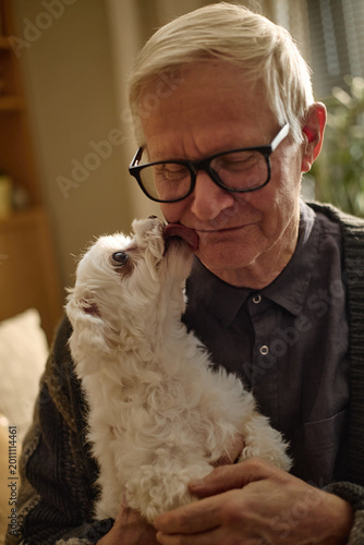 Εκτύπωση καμβά Vertical shot of senior Caucasian man cuddling small dog, receiving affectionate lick on face, showing companionship and pet bonding