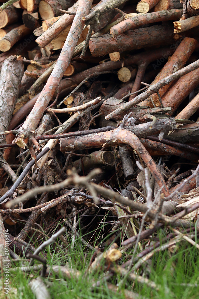 Fototapeta premium Pile of dry brushwood and firewood close-up. Wooden branches and logs prepared for a campfire. Detailed plan of a pile of dry branches and a stack of firewood. Concept of heating or outdoor recreation