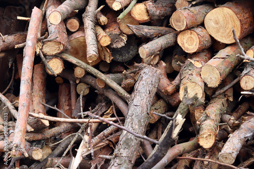 Canvas Print Pile of dry brushwood and firewood close-up